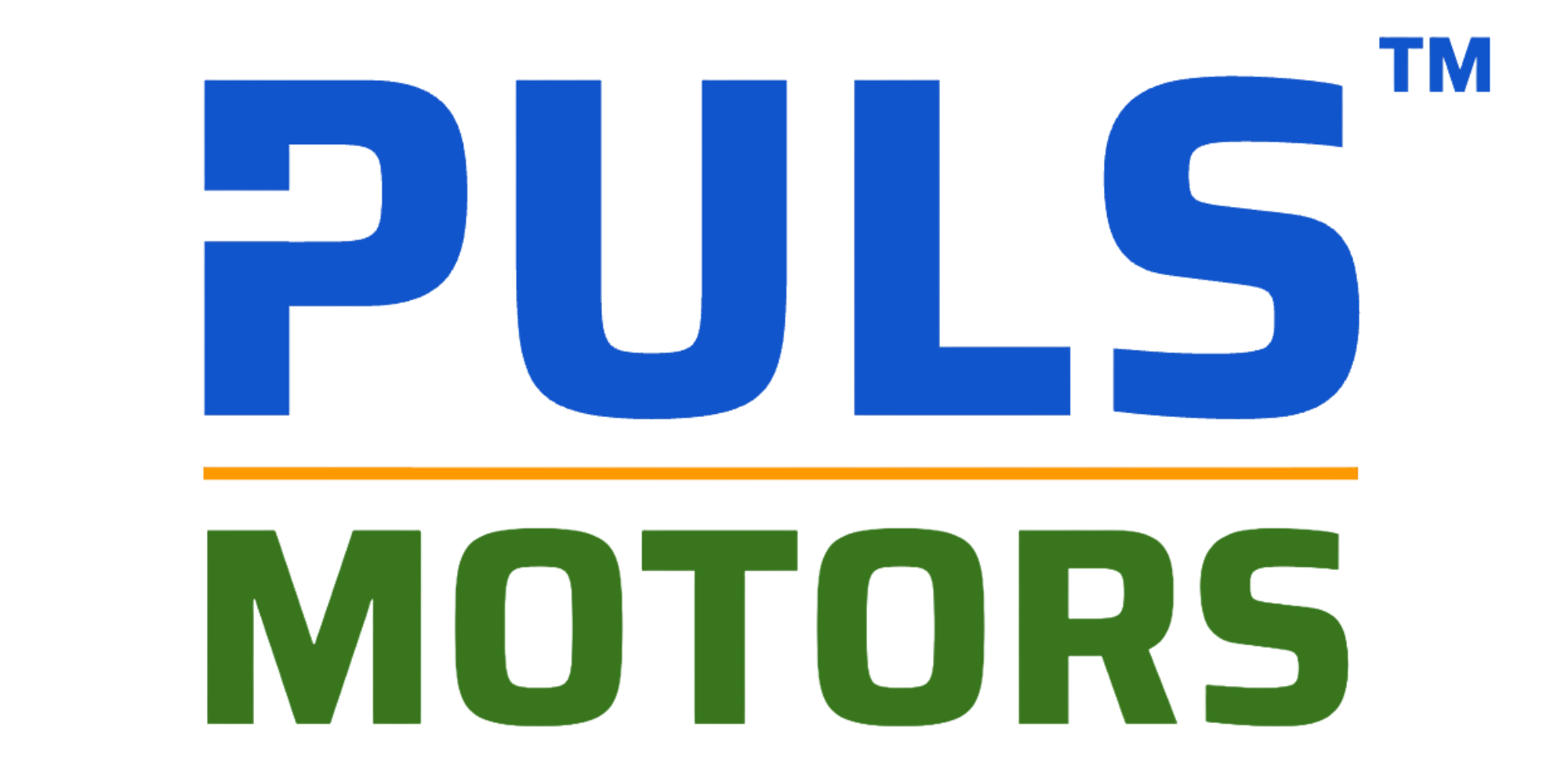 Puls Motors
